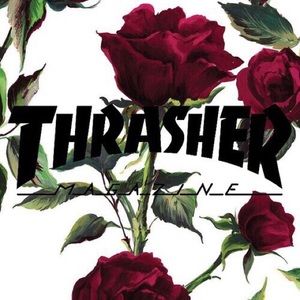 Meet your Posher, Samuel